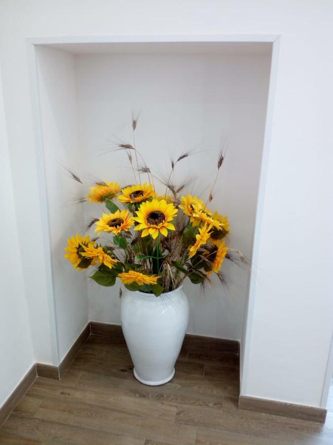 Casa Magnolia Villa มอนตาลบาโน ภายนอก รูปภาพ